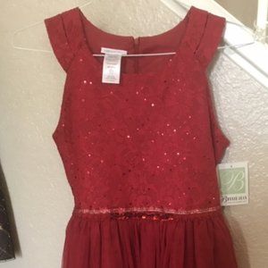 Brand New Bonnie Jean Girls Holiday Dress Size 20